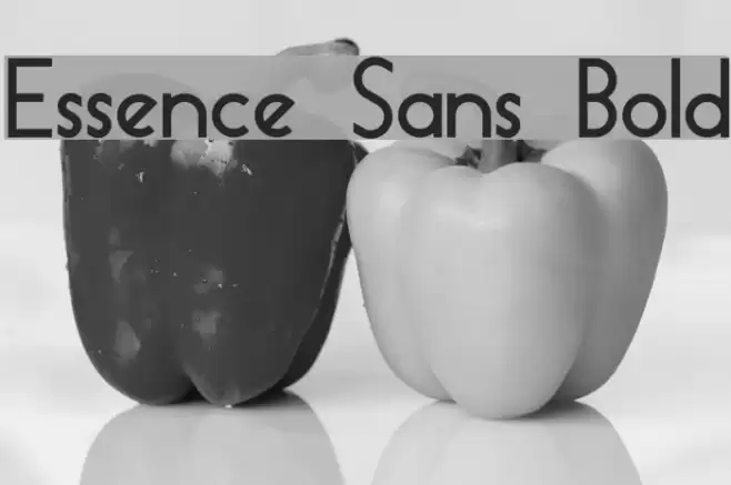 Essence Sans Bold Font examples