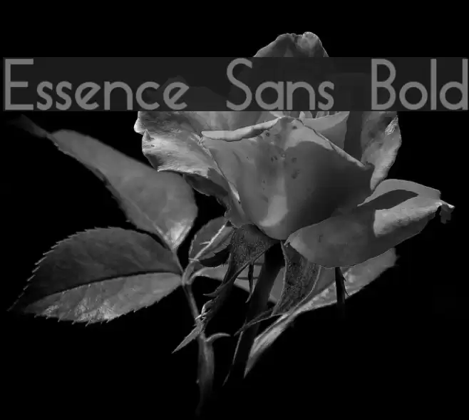 Essence Sans Bold Font examples