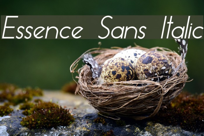 Essence Sans Italic Example 3