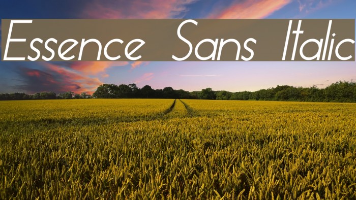 Essence Sans Italic Font examples