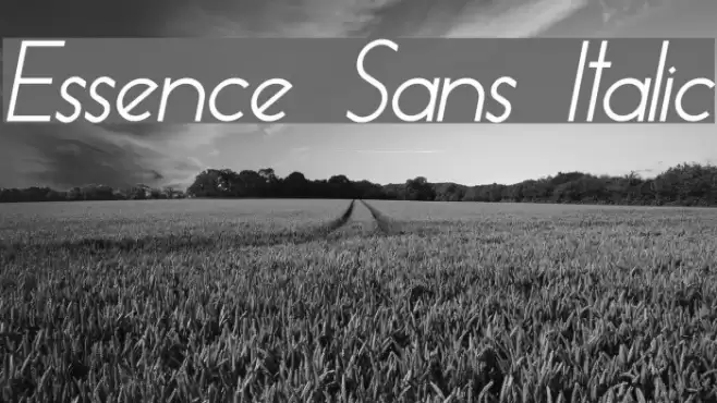 Essence Sans Italic examples