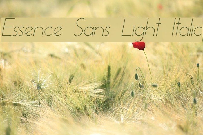 Essence Sans Light Italic Font examples