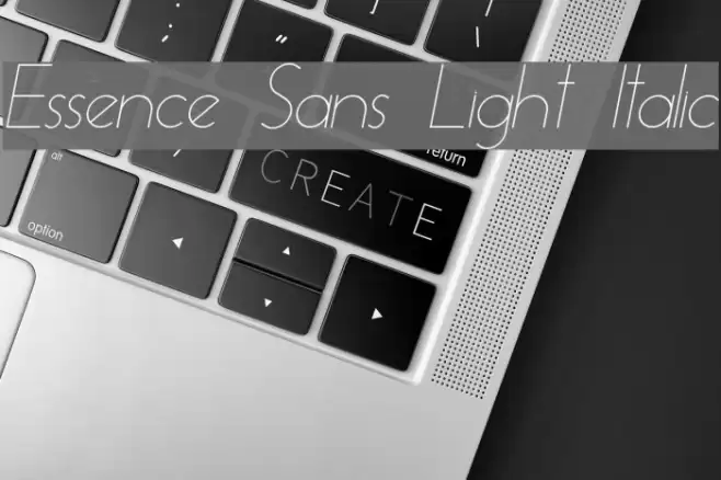 Essence Sans Light Italic Font examples