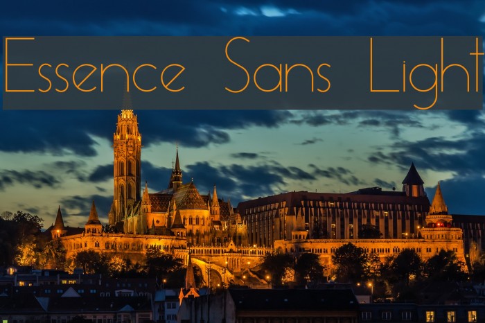 Essence Sans Light Font examples