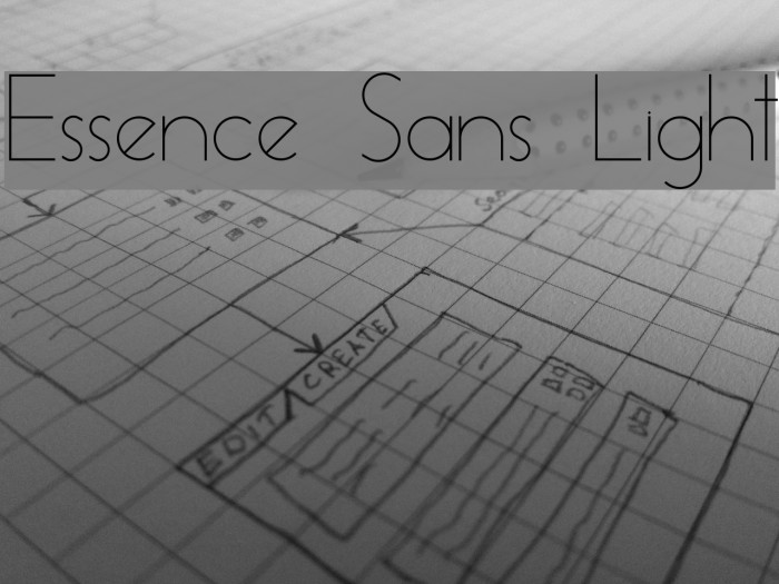 Essence Sans Light Font examples