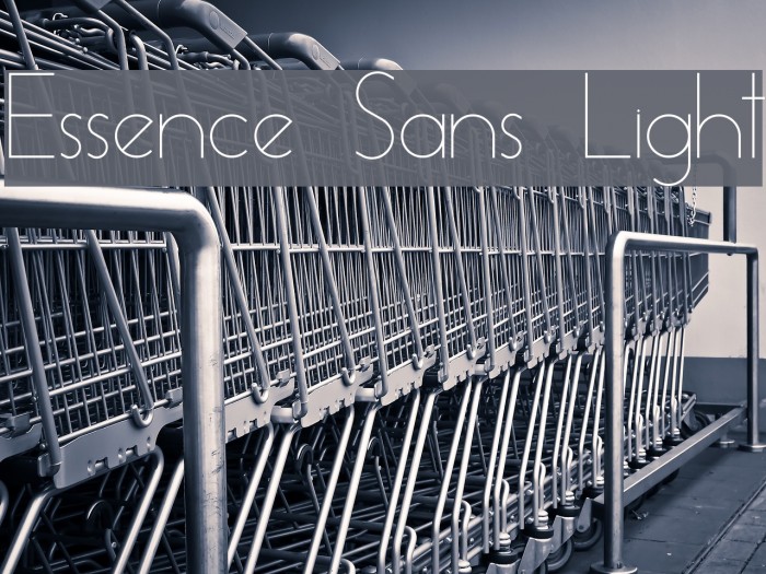 Essence Sans Light Font examples