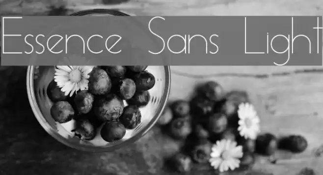 Essence Sans Light Font examples