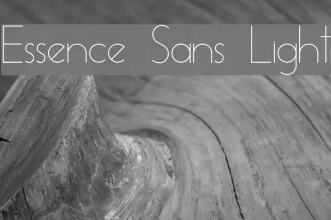 Essence Sans Light Font examples
