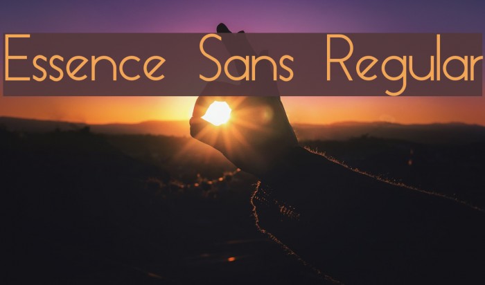 Essence Sans Regular Font examples