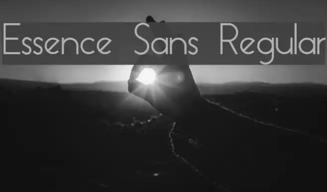 Essence Sans Regular Example 1