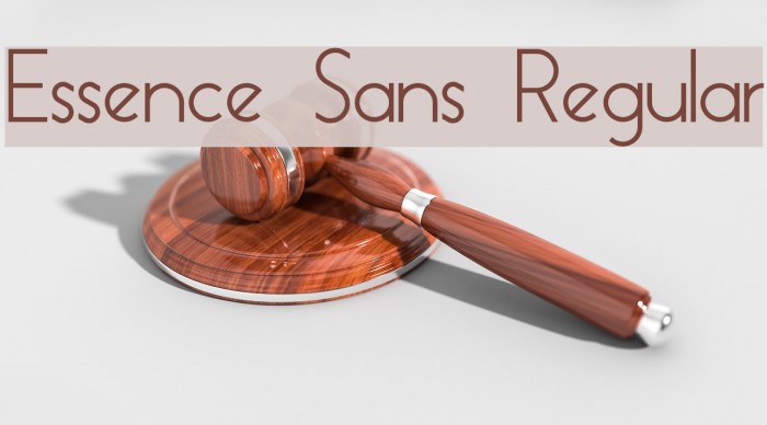 Essence Sans Regular Font examples