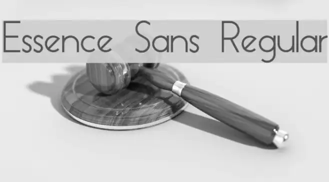 Essence Sans Regular Example 2