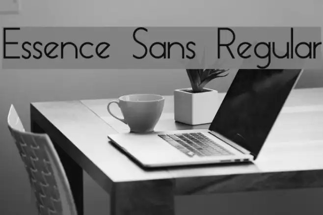 Essence Sans Regular Example 3