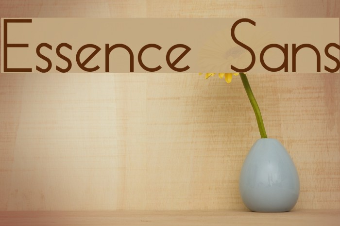Essence Sans Font examples