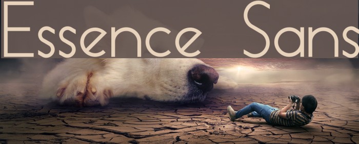 Essence Sans Font examples