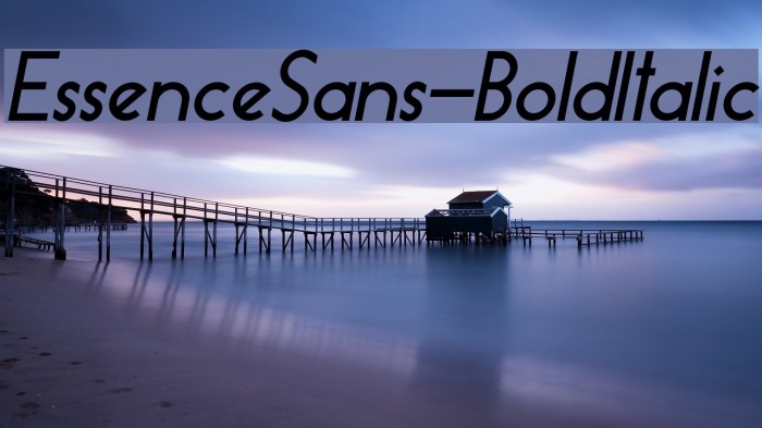 EssenceSans-BoldItalic Font examples