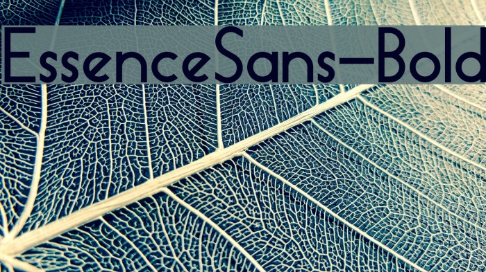 EssenceSans-Bold Example 1