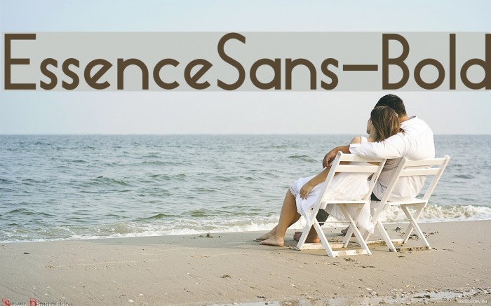EssenceSans-Bold Example 2