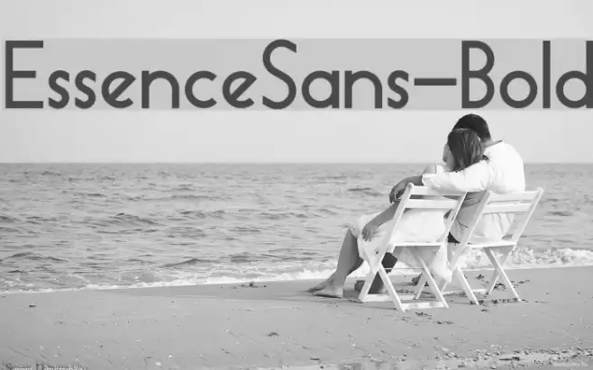 EssenceSans-Bold Font examples