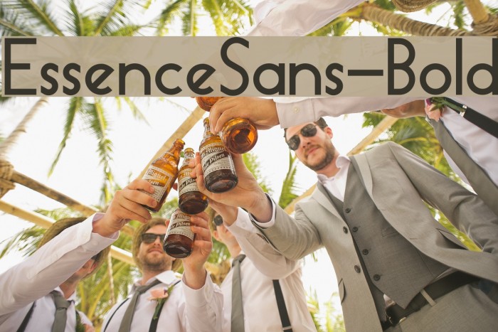 EssenceSans-Bold Example 3