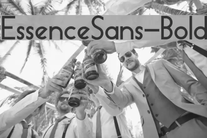 EssenceSans-Bold Font examples