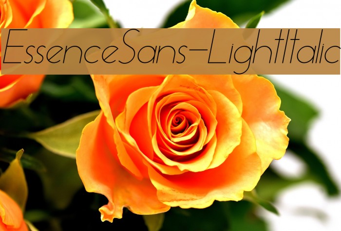 EssenceSans-LightItalic Font examples