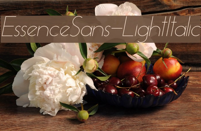 EssenceSans-LightItalic Font examples