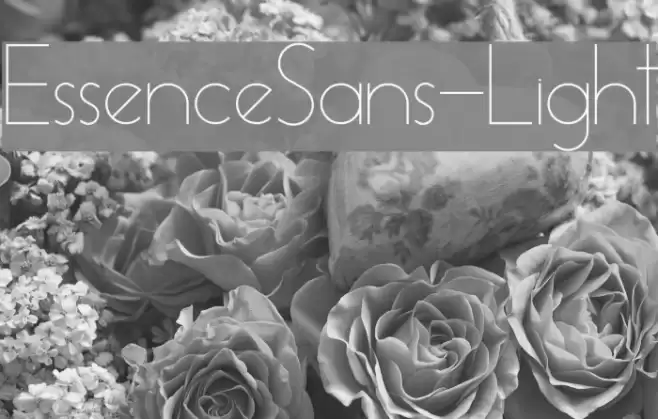 EssenceSans-Light Font examples