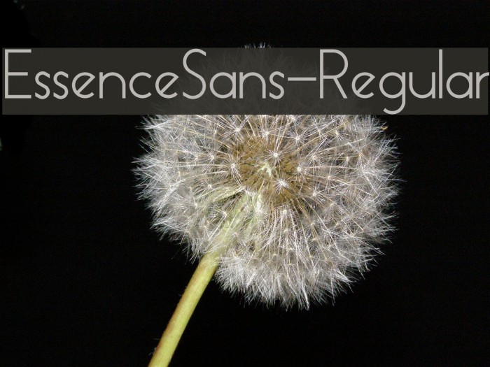 EssenceSans-Regular Font examples