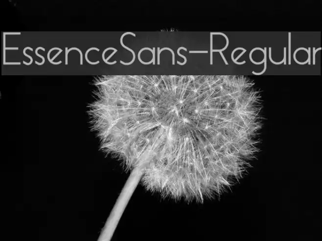 EssenceSans-Regular Example 1
