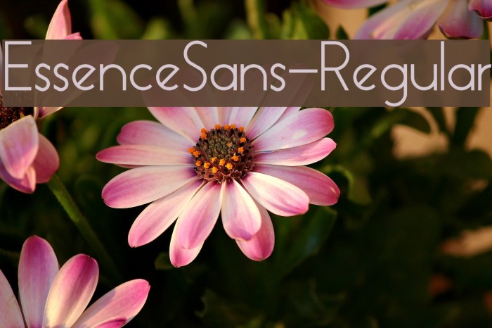 EssenceSans-Regular Font examples