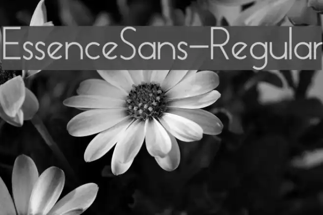 EssenceSans-Regular Example 3