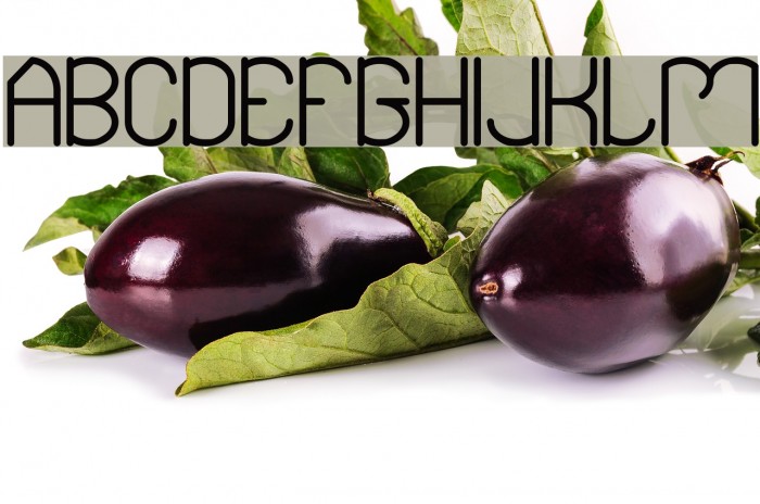 Essential Arrangement Bold Font examples