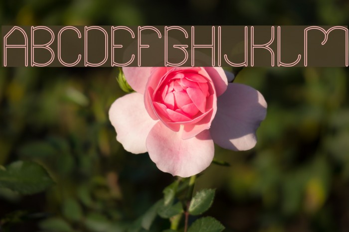 Essential Arrangement-Hollow Example 2