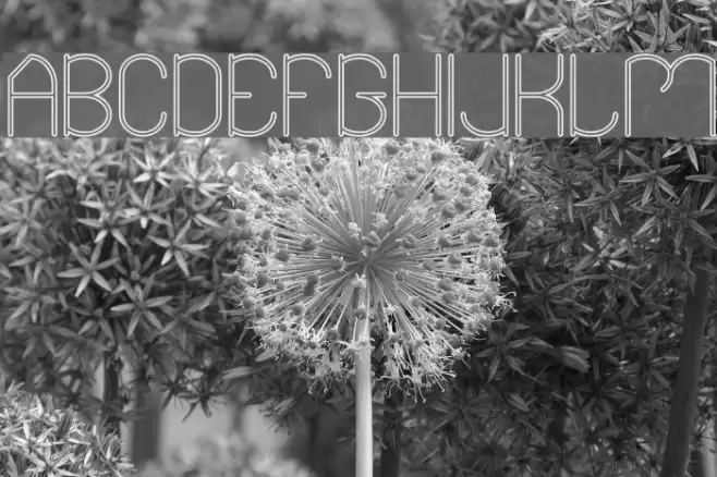 Essential Arrangement-Hollow Font examples