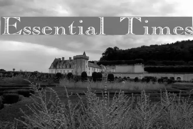 Essential Times Font examples