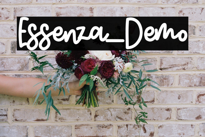 Essenza_Demo Example 1