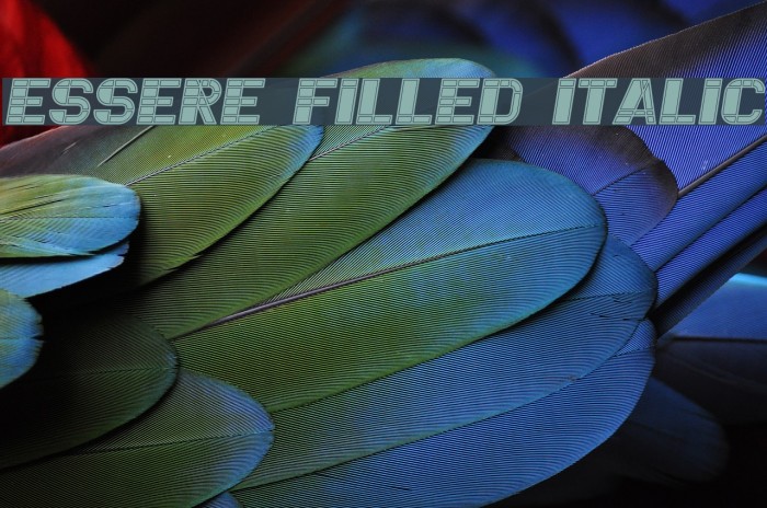 Essere Filled Italic Font examples