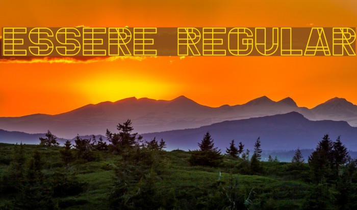 Essere Regular Font examples