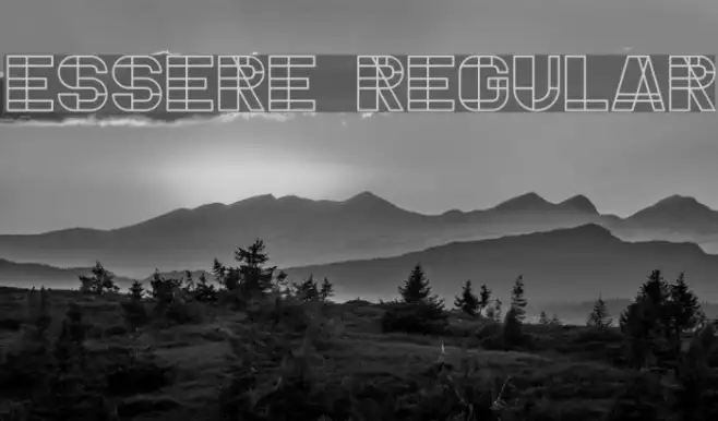 Essere Regular Example 1