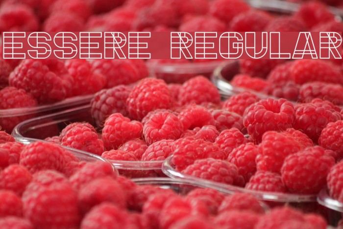 Essere Regular Font examples