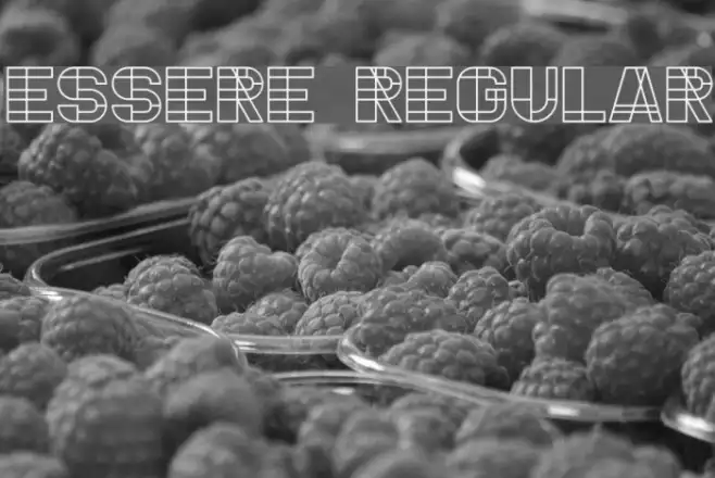 Essere Regular Example 3
