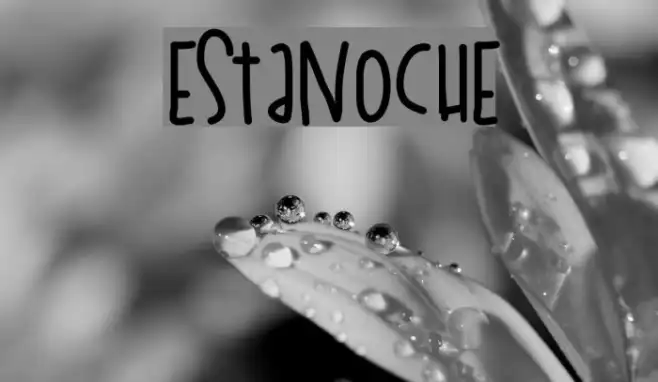 EstaNoche Example 3