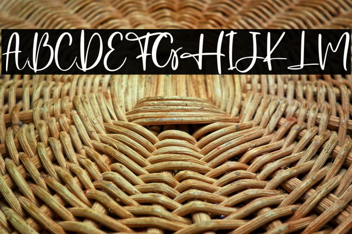 Established - Personal Use Example 3