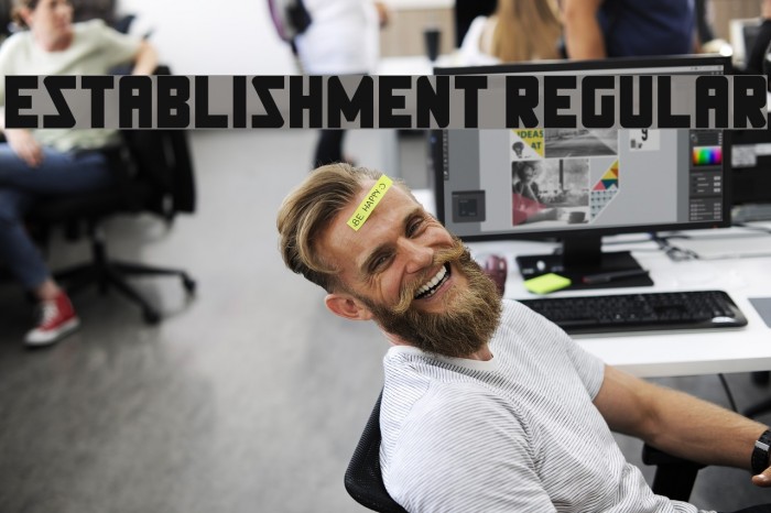 Establishment Regular Font examples