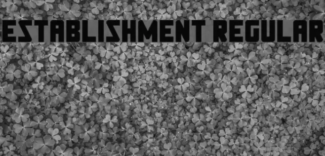 Establishment Regular Font examples