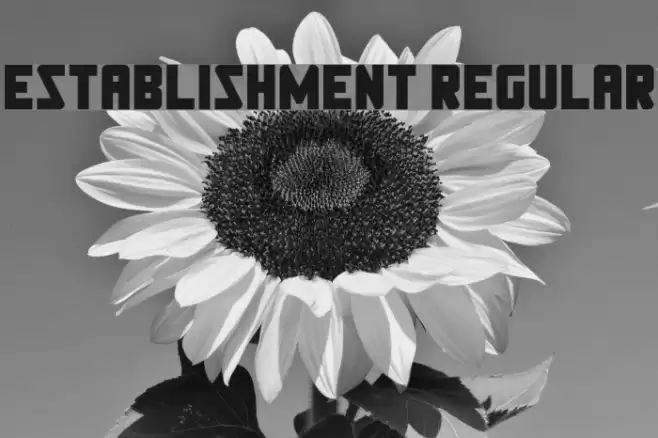 Establishment Regular Font examples
