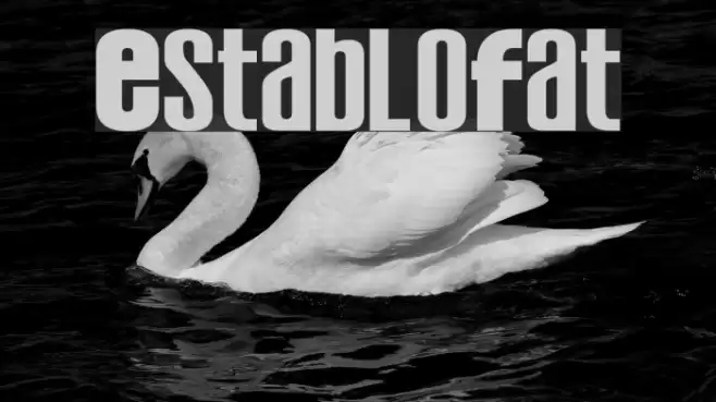 EstabloFat Font examples