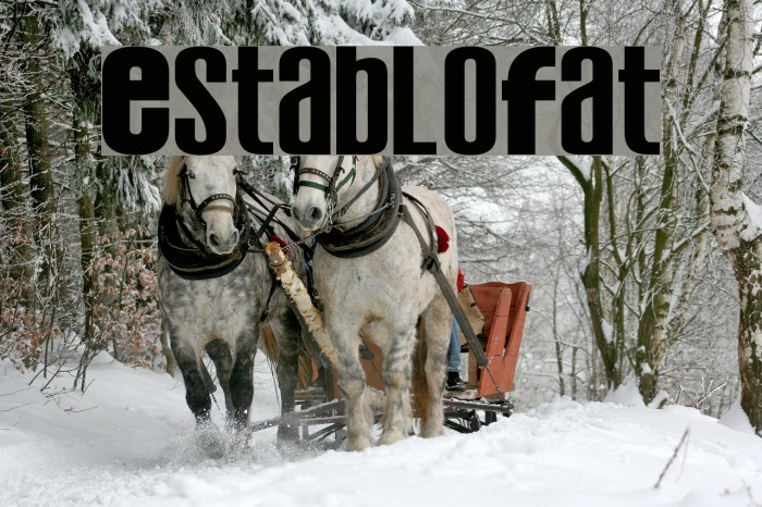 EstabloFat Font examples