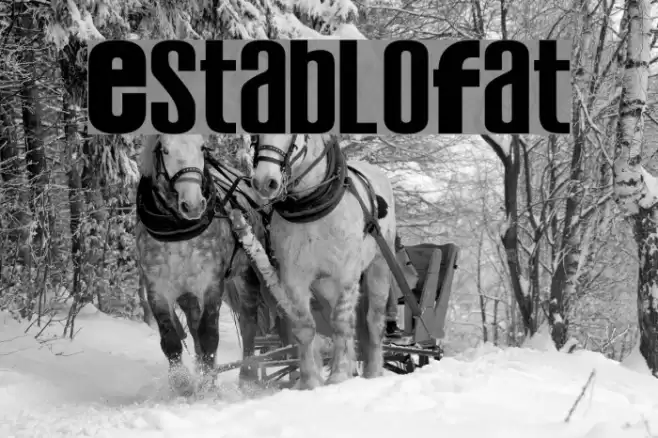 EstabloFat Font examples